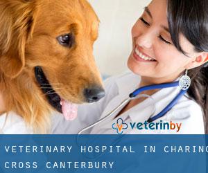 Veterinary Hospital in Charing Cross (Canterbury)