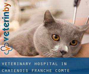 Veterinary Hospital in Châtenois (Franche-Comté)