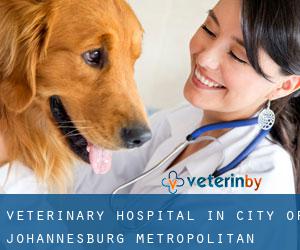 Veterinary Hospital in City of Johannesburg Metropolitan Municipality by city - page 2
