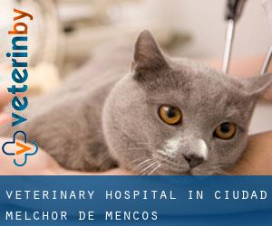 Veterinary Hospital in Ciudad Melchor de Mencos