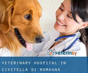 Veterinary Hospital in Civitella di Romagna