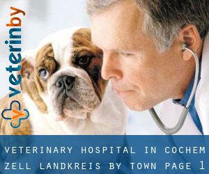 Veterinary Hospital in Cochem-Zell Landkreis by town - page 1