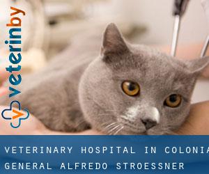 Veterinary Hospital in Colonia General Alfredo Stroessner