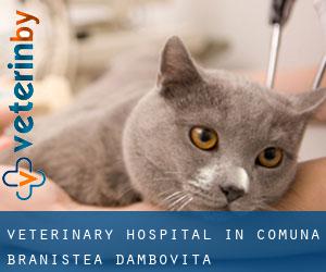Veterinary Hospital in Comuna Braniştea (Dâmboviţa)