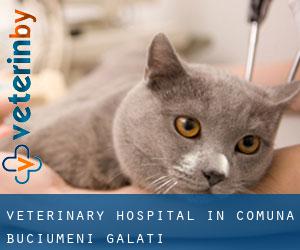 Veterinary Hospital in Comuna Buciumeni (Galaţi)