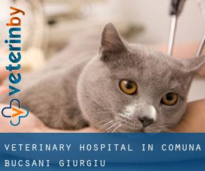 Veterinary Hospital in Comuna Bucşani (Giurgiu)