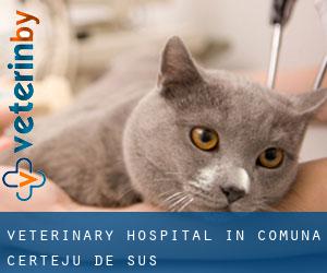 Veterinary Hospital in Comuna Certeju de Sus