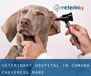 Veterinary Hospital in Comuna Chevereşu Mare