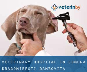 Veterinary Hospital in Comuna Dragomireşti (Dâmboviţa)