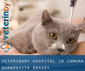 Veterinary Hospital in Comuna Dumbrăviţa (Braşov)