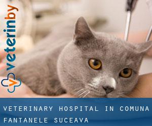 Veterinary Hospital in Comuna Fântânele (Suceava)