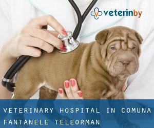 Veterinary Hospital in Comuna Fântânele (Teleorman)