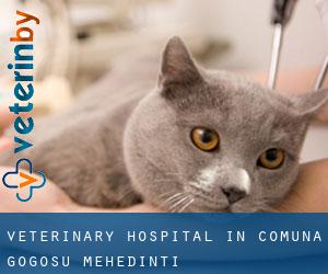 Veterinary Hospital in Comuna Gogoşu (Mehedinţi)