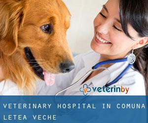 Veterinary Hospital in Comuna Letea Veche