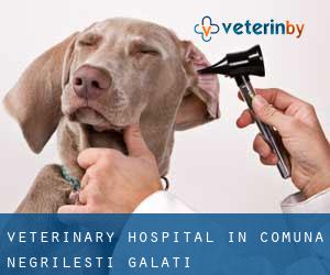 Veterinary Hospital in Comuna Negrileşti (Galaţi)