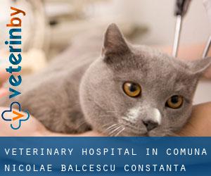 Veterinary Hospital in Comuna Nicolae Bălcescu (Constanţa)