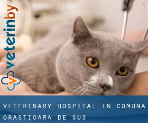 Veterinary Hospital in Comuna Orăştioara de Sus
