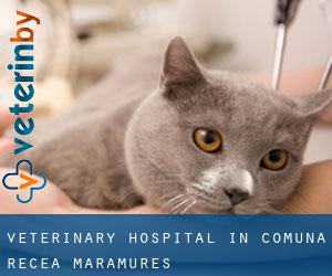 Veterinary Hospital in Comuna Recea (Maramureş)