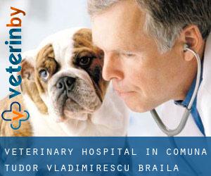 Veterinary Hospital in Comuna Tudor Vladimirescu (Brăila)