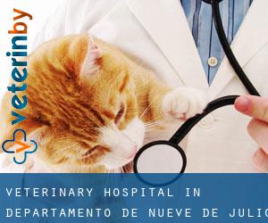 Veterinary Hospital in Departamento de Nueve de Julio (San Juan)