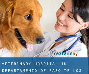 Veterinary Hospital in Departamento de Paso de los Libres