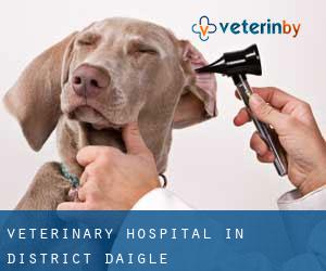 Veterinary Hospital in District d'Aigle