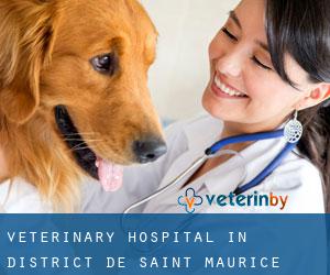 Veterinary Hospital in District de Saint-Maurice
