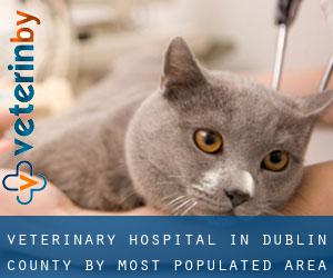 Veterinary Hospital in Dublin County by most populated area - page 1