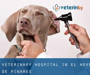 Veterinary Hospital in El Hoyo de Pinares