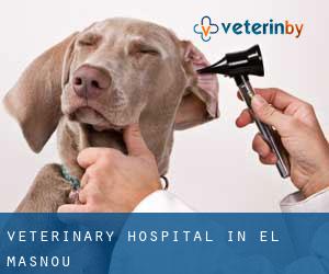 Veterinary Hospital in el Masnou