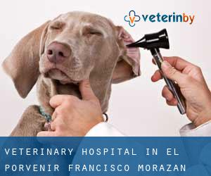 Veterinary Hospital in El Porvenir (Francisco Morazán)