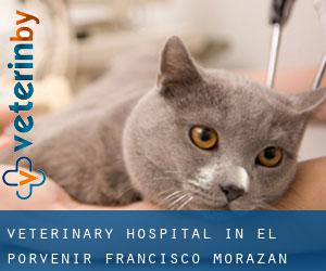 Veterinary Hospital in El Porvenir (Francisco Morazán)