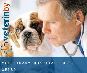 Veterinary Hospital in El Seíbo