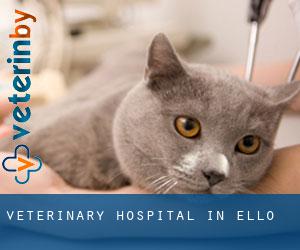 Veterinary Hospital in Ello
