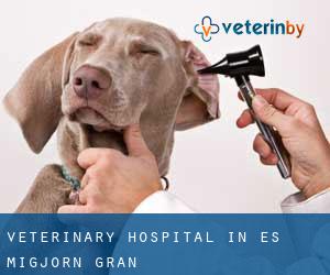 Veterinary Hospital in es Migjorn Gran