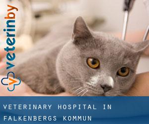 Veterinary Hospital in Falkenbergs Kommun