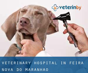Veterinary Hospital in Feira Nova do Maranhão