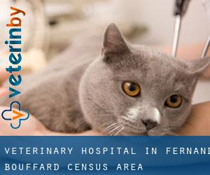 Veterinary Hospital in Fernand-Bouffard (census area)