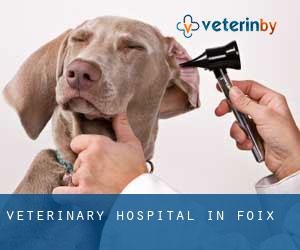 Veterinary Hospital in Foix