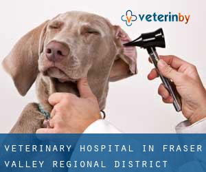 Veterinary Hospital in Fraser Valley Regional District
