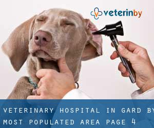 Veterinary Hospital in Gard by most populated area - page 4