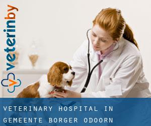 Veterinary Hospital in Gemeente Borger-Odoorn
