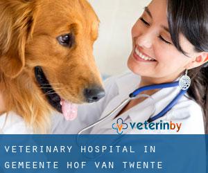 Veterinary Hospital in Gemeente Hof van Twente