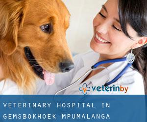 Veterinary Hospital in Gemsbokhoek (Mpumalanga)