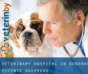 Veterinary Hospital in General Vicente Guerrero