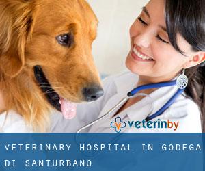 Veterinary Hospital in Godega di Sant'Urbano
