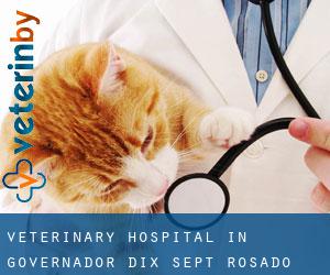 Veterinary Hospital in Governador Dix-Sept Rosado