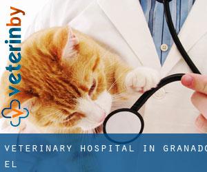 Veterinary Hospital in Granado (El)