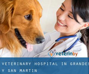 Veterinary Hospital in Grandes y San Martín