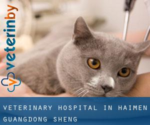 Veterinary Hospital in Haimen (Guangdong Sheng)